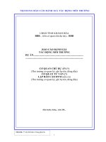 MẪU BÁO CÁO ĐÁNH GIÁ TÁC ĐỘNG MÔI TRƯỜNG DỰ ÁN pot