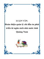 LUẬN VĂN: Hoàn thiện quản lý chi đầu tư phát triển từ ngân sách nhà nước tỉnh Quảng Nam doc