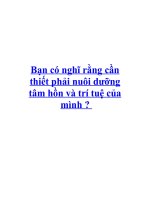 Bạn có nghĩ rằng cần thiết phải nuôi dưỡng tâm hồn và trí tuệ của mình potx