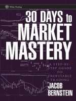 30 Days to Market Mastery pptx