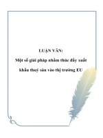 LUẬN VĂN: Một số giải pháp nhằm thúc đẩy xuất khẩu thuỷ sản vào thị trường EU doc