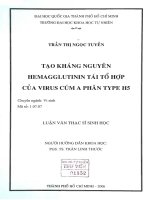 Đề Tài: Tạo kháng nguyên HEMAGGLUTININ tái tổ hợp của virus cúm A phân type H5 pptx