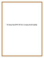 Sử dụng OpenDNS để bảo vệ mạng doanh nghiệp ppt