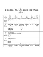 ke hoach hoat dong he pot