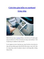 Cách đơn giản kiểm tra methanol trong xăng potx