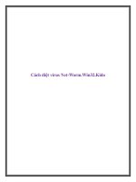 Cách diệt virus Net-Worm.Win32.Kido doc
