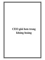 CEO giỏi hơn trong khủng hoảng ppt