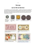 Ti ểu luận Lịch sử tiền tệ Việt Nam potx