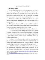 Hệ thống an sinh xã hội pptx