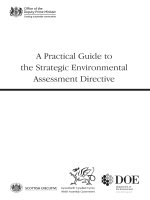 A Practical Guide to the Strategic Environmental Assessment Directive docx