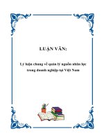 LUẬN VĂN: Lý luận chung về quản lý nguồn nhân lực trong doanh nghiệp tại Việt Nam potx