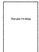 Thai giáo 3-6 tháng doc