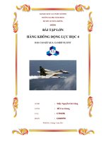 BÀI TẬP LỚN HÀNG KHÔNG ĐỘNG LỰC HỌC 4 potx