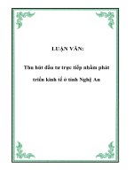 LUẬN VĂN: Thu hút đầu tư trực tiếp nhằm phát triển kinh tế ở tỉnh Nghệ An ppt