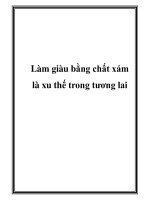 Làm giàu bằng chất xám là xu thế trong tương lai. pot