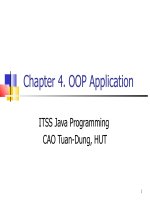 Java C4. OOP Application pdf