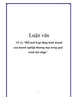 Luận văn: Đổi mới hoạt động kinh doanh của doanh nghiệp thương mại trong quá trình hội nhập pdf