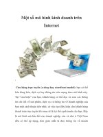 Một số mô hình kinh doanh trên Internet ppt