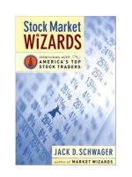 Stock Market Wizards potx