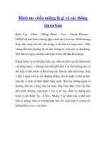 Bệnh tay chân miệng là gì và các thông tin cơ bản potx