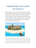 Công nghệ 3D liệu có mở ra thời kỳ mới của Internet pot