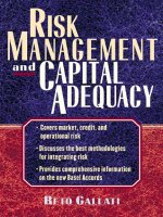 RISK MANAGEMENT AND CAPITAL ADEQUACY pot
