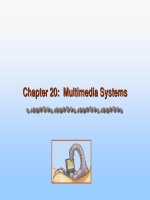 Operating System Concepts - Chapter 20: Multimedia Systems pot