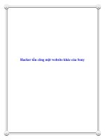 Hacker tấn công một website khác của Sony docx