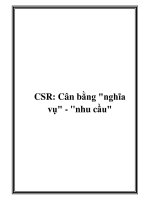 CSR: Cân bằng 
