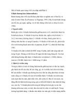 Một số bệnh quan trọng ở bồ câu docx