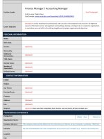 mẫu xin việc bằng tiếng anh finance manager