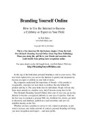 Branding Yourself OnlineHow to Use the Internet to Become a Celebrity or Expert docx