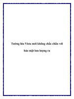 Tường lửa Vista mới không chắc chắn với bảo mật lưu lượng ra pot