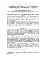 BÁO CÁO KHOA HỌC 