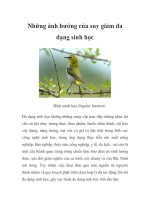 Những ảnh hưởng của suy giảm đa dạng sinh học pptx