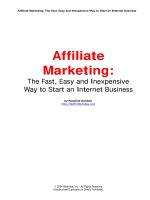 Affiliate Marketing: The Fast, Easy and Inexpensive Way to Start an Internet Business ppt