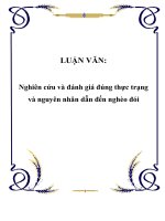 LUẬN VĂN: Nghiên cứu và đánh giá đúng thực trạng và nguyên nhân dẫn đến nghèo đói pot