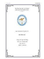 BÀI TẬP KINH TẾ QUỐC TẾ BÁN PHÁ GIÁ pptx