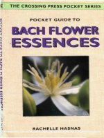 POCKET GUIDE TO BACH FLOWERS ESSENCES potx