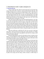 Tiểu luận: Tình hình đất nước và bối cảnh quốc tế pot