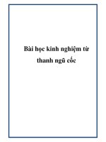 Bài học kinh nghiệm từ thanh ngũ cốc potx