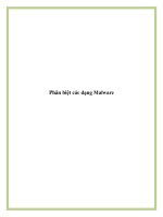 Phân biệt các dạng Malware potx