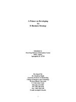 A Primer on Developing An E-Business Strategy Submitted docx