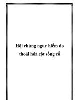 Hội chứng nguy hiểm do thoái hóa cột sống cổ pdf