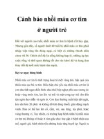 Cảnh báo nhồi máu cơ tim ở người trẻ pptx