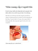 Viêm xoang cấp ở người lớn potx