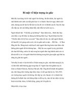 Bí mật về hiện tượng ảo giác pot