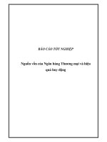 Báo cáo tốt nghiệp: Nguồn vốn của Ngân hàng Thương mại và hiệu quả huy động docx