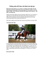 Những môn thể thao dành cho đại gia pot