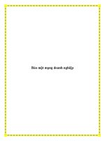 Bảo mật mạng doanh nghiệp doc